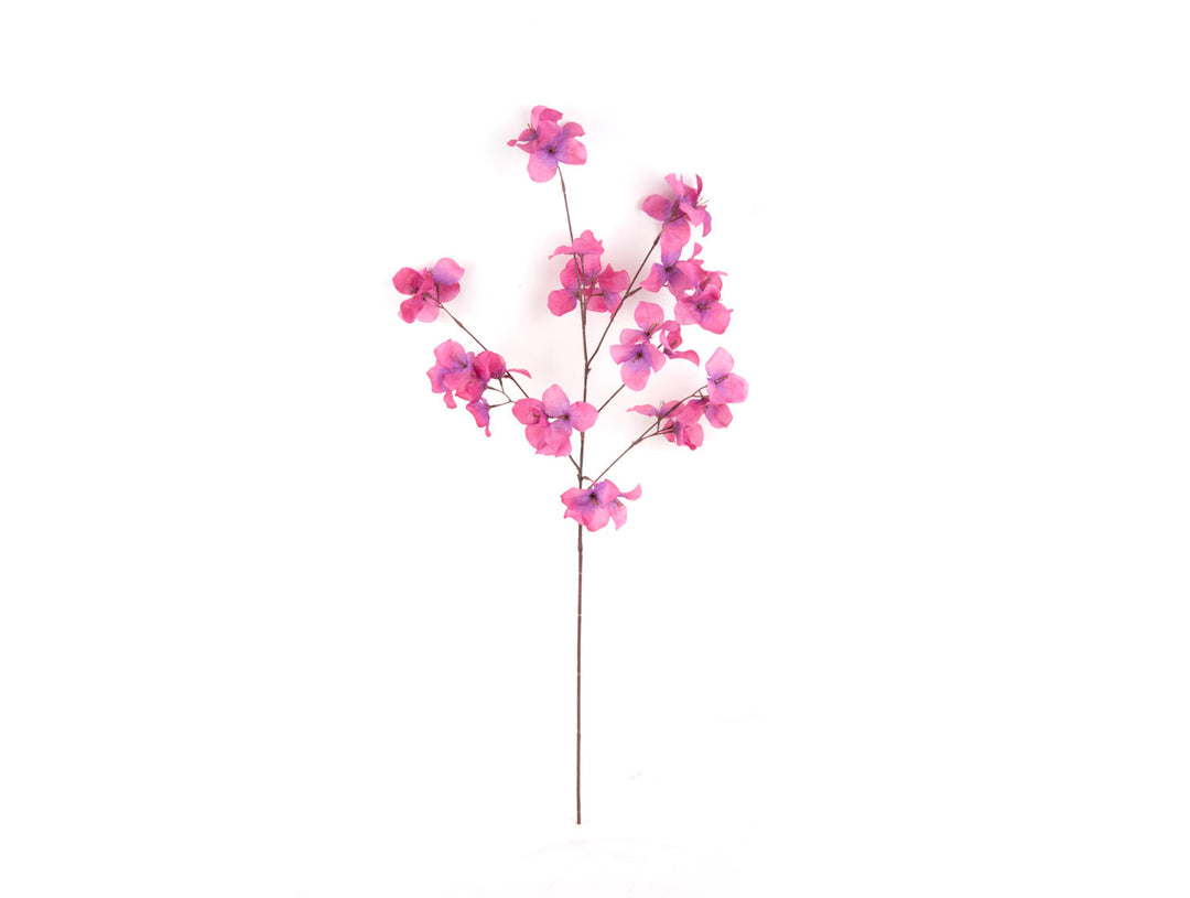 present time Artificial plant Flower Stem fuchsia