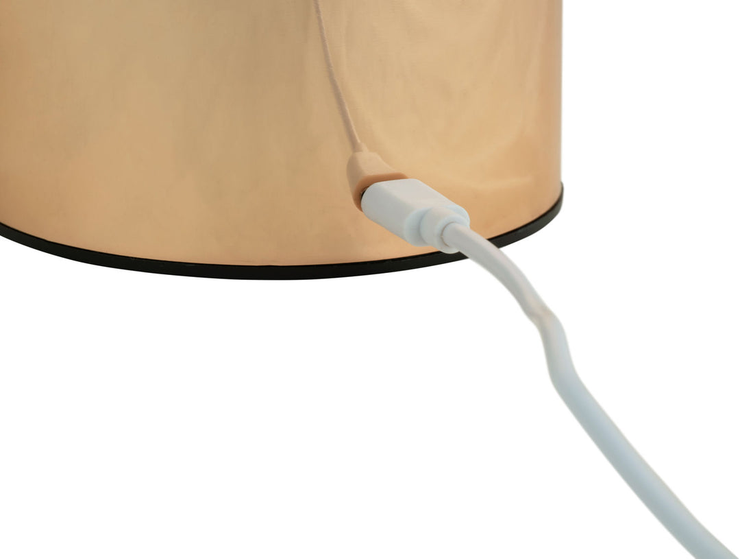 Leitmotiv Table lamp Impetu LED gold plated