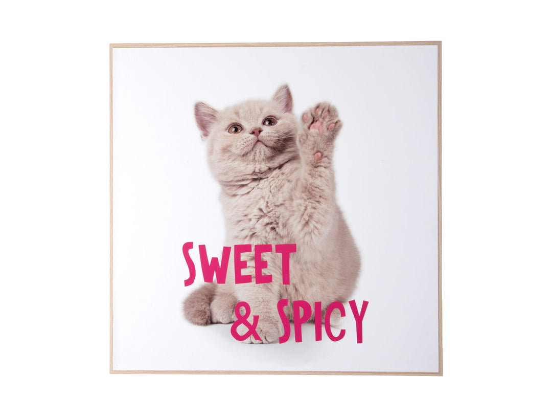 present time Wall art kitten Sweet & Spicy bright pink