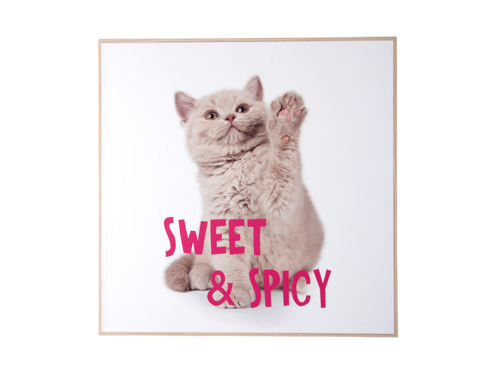 present time Wall art kitten Sweet & Spicy bright pink