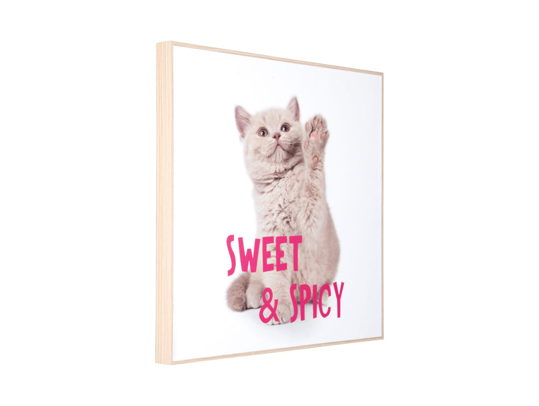 present time Wall art kitten Sweet & Spicy bright pink