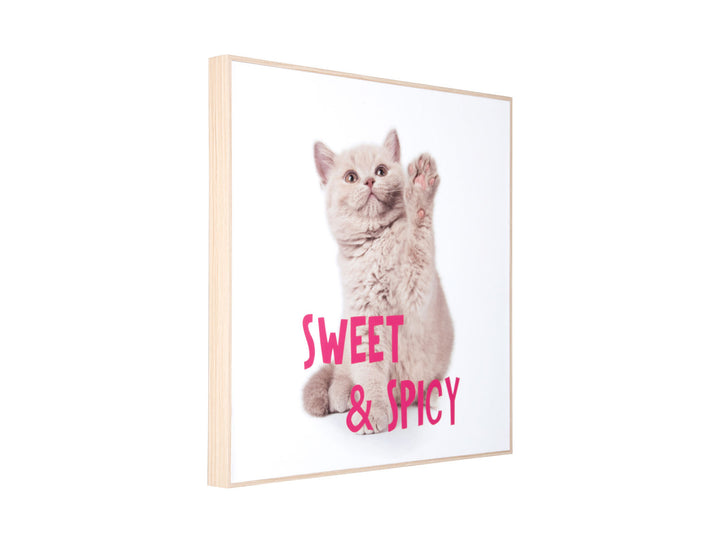 present time Wall art kitten Sweet & Spicy bright pink