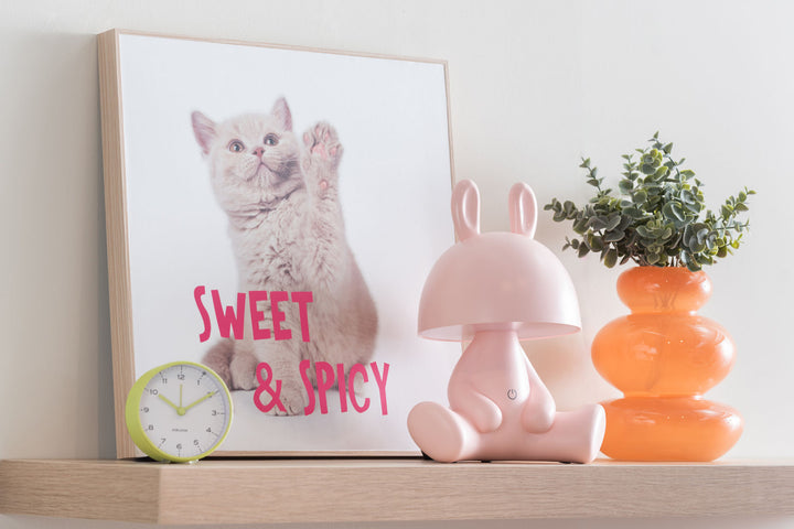 present time Wall art kitten Sweet & Spicy bright pink