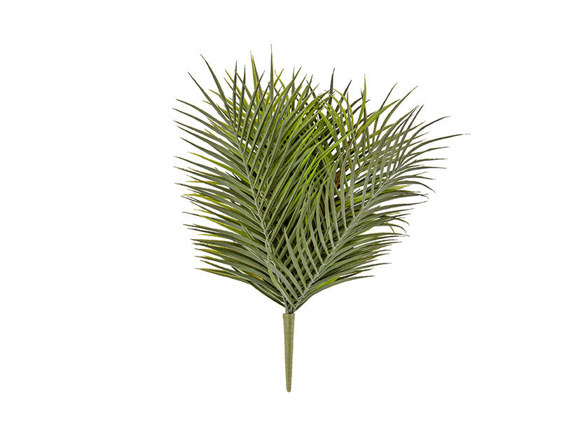 present time Artificial plant Anemone Stem