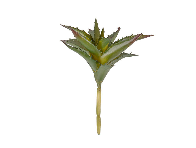present time Artificial plant Aloe Stem