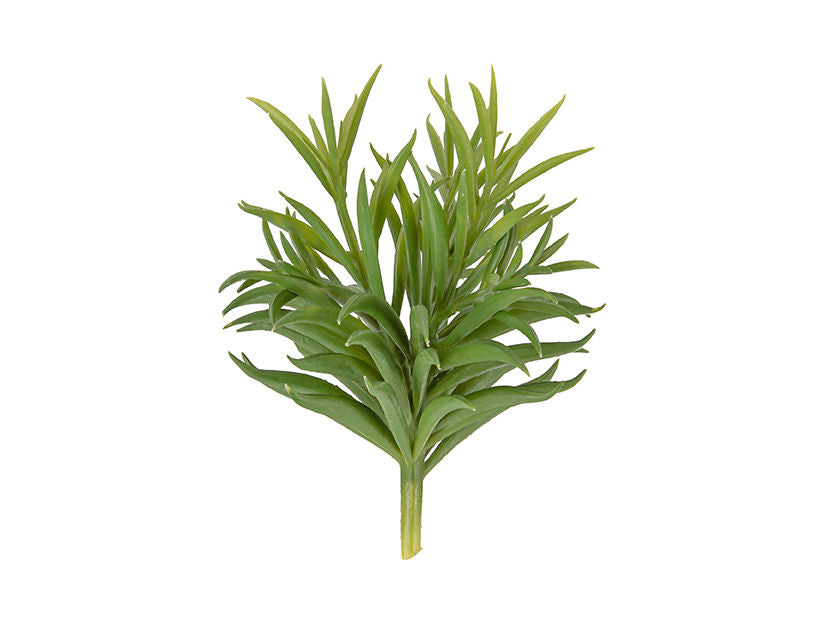 present time Artificial plant Succelent Stem
