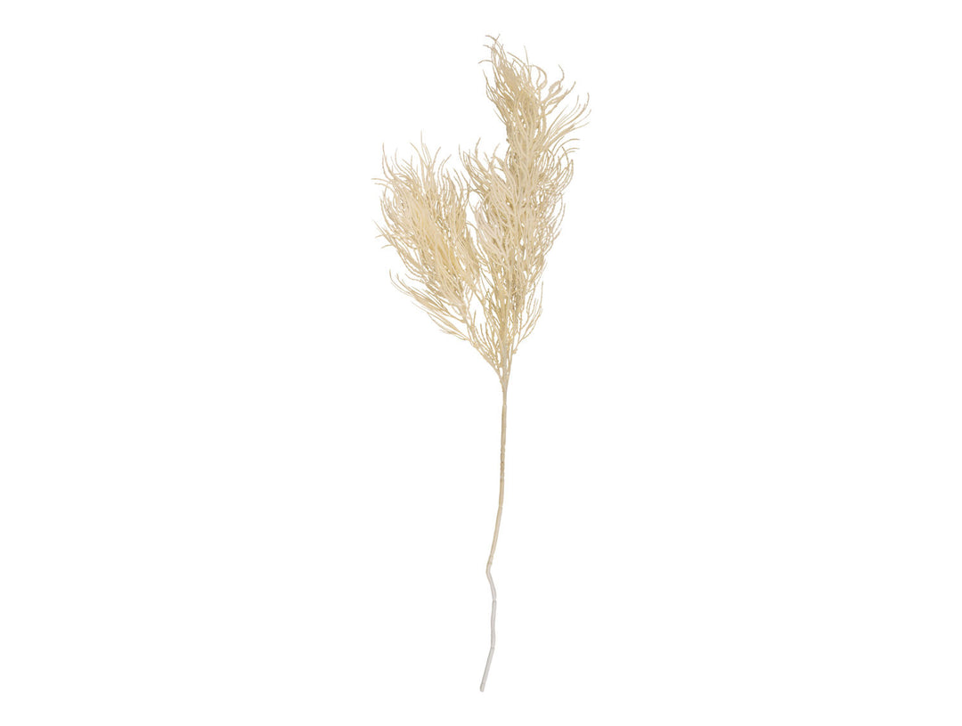 present time Artificial plant Asparagus Fern Stem white