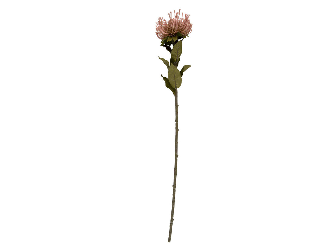 present time Artificial plant Protea Flower large light pink