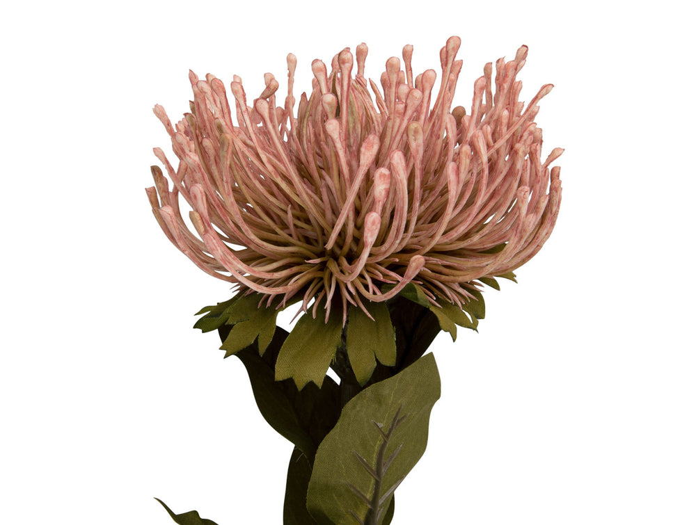 present time Artificial plant Protea Flower large light pink