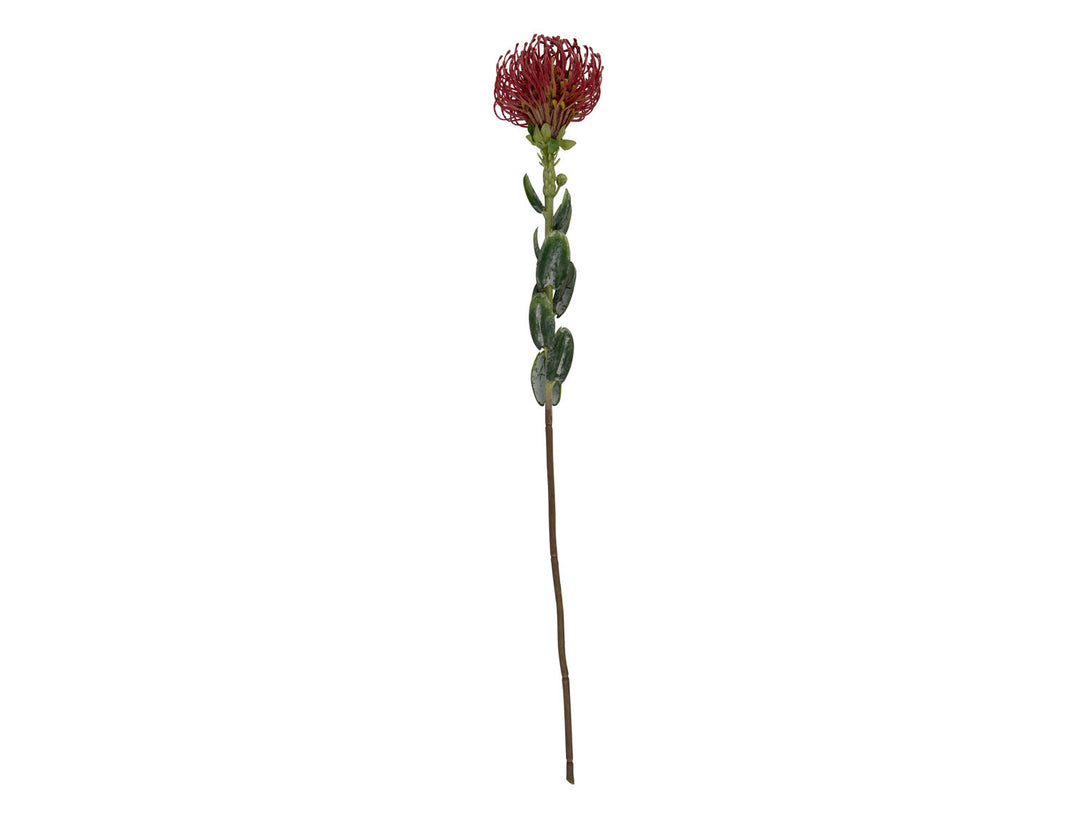 present time Artificial plant Protea Flower large burgundy red