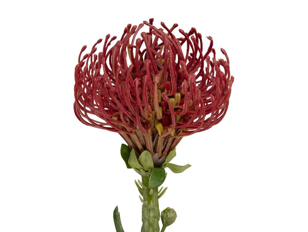 present time Artificial plant Protea Flower large burgundy red