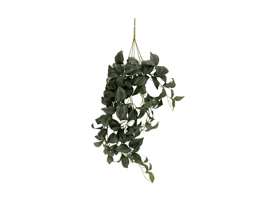 present time Artificial plant Hanging Tradescantia