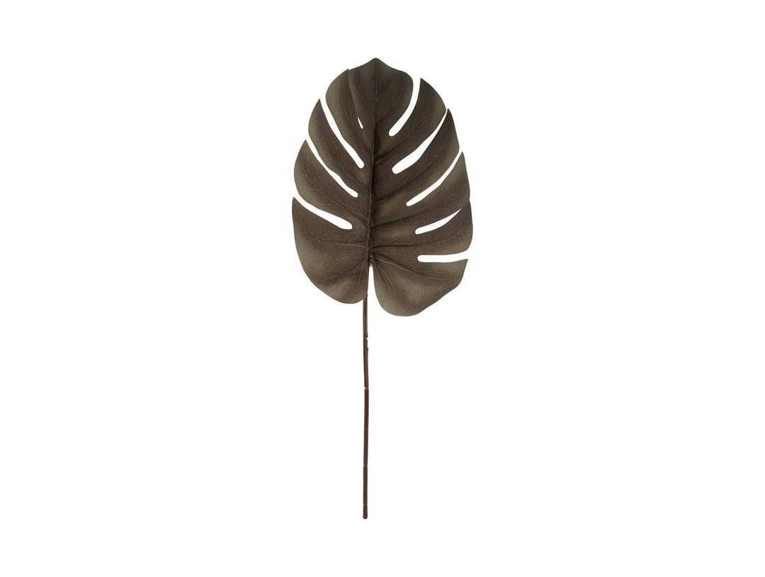 present time Artificial plant Monstera Stem black