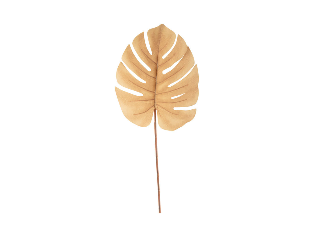 present time Artificial plant Monstera Stem sand brown