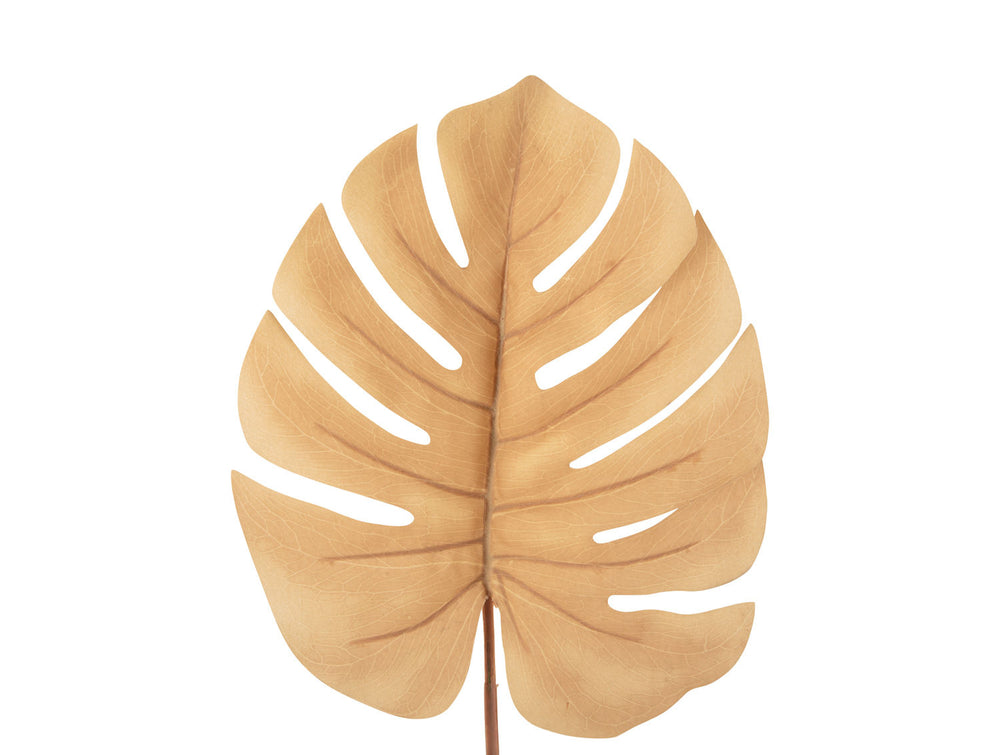 present time Artificial plant Monstera Stem sand brown