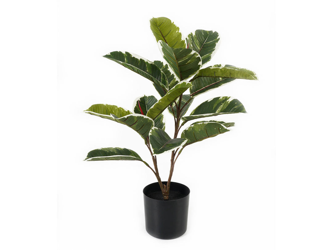 present time Artificial plant Oak Leaf