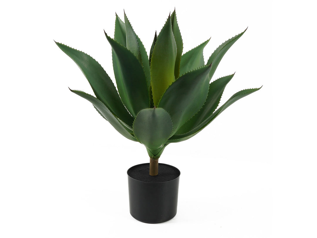 present time Artificial plant Succulent dark green