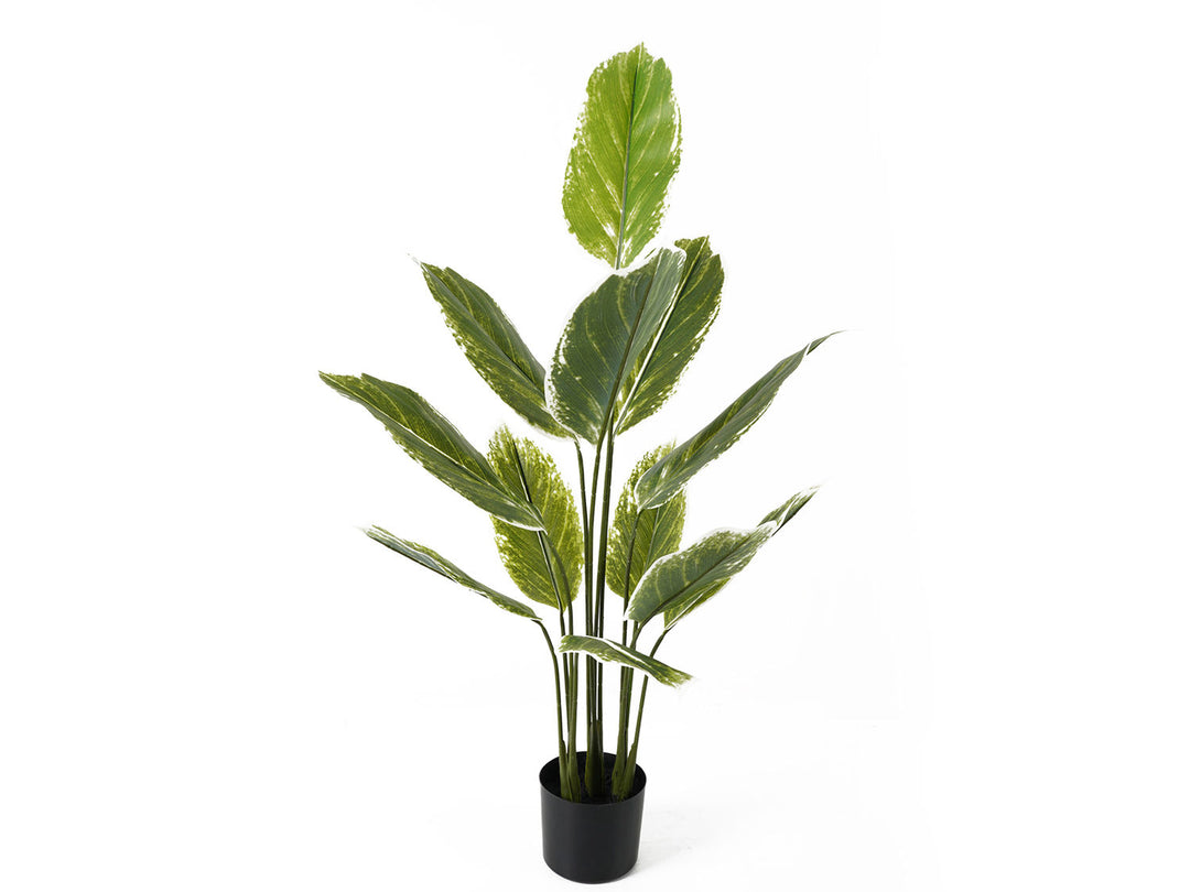 present time Artificial plant Calathea large