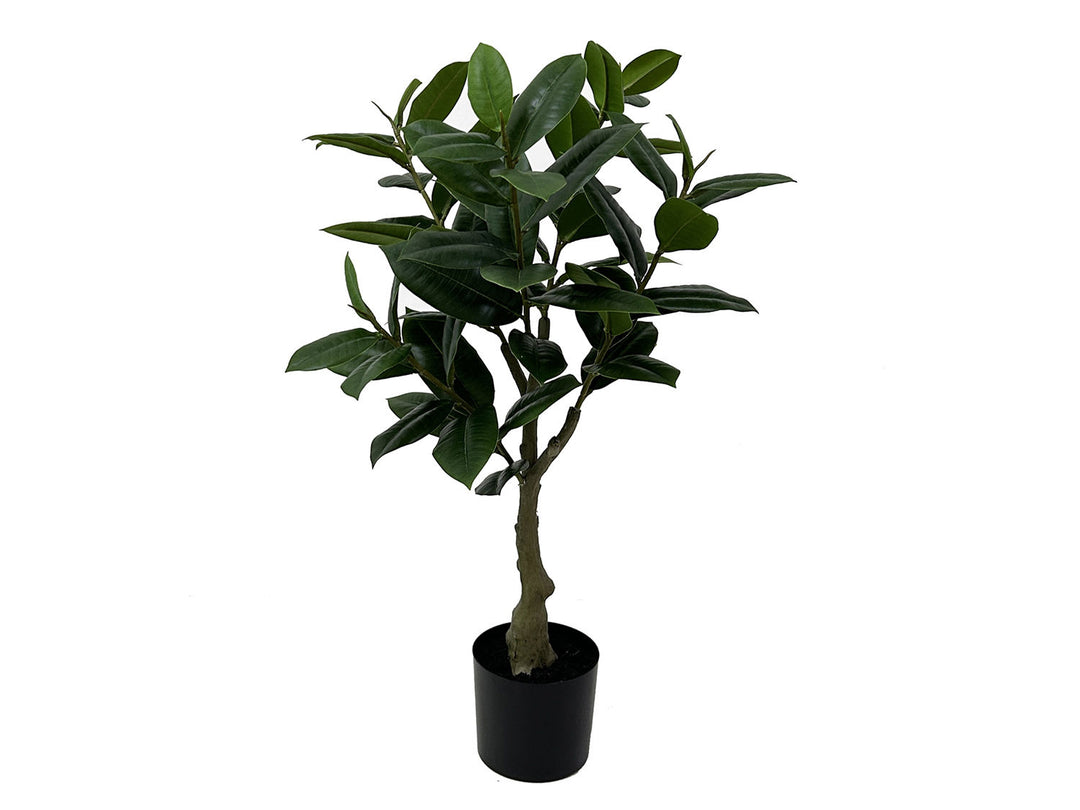 present time Artificial plant Rubber Tree