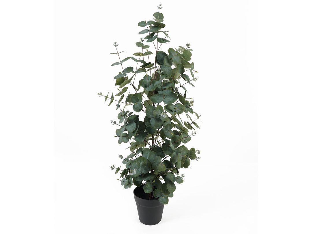 present time Artificial plant Eucalyptus Leaf large