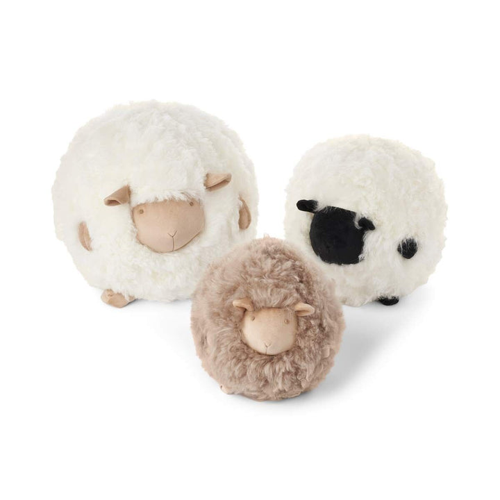 NATURES COLLECTION Cute Sheep | New Zealandsk Lammeskind