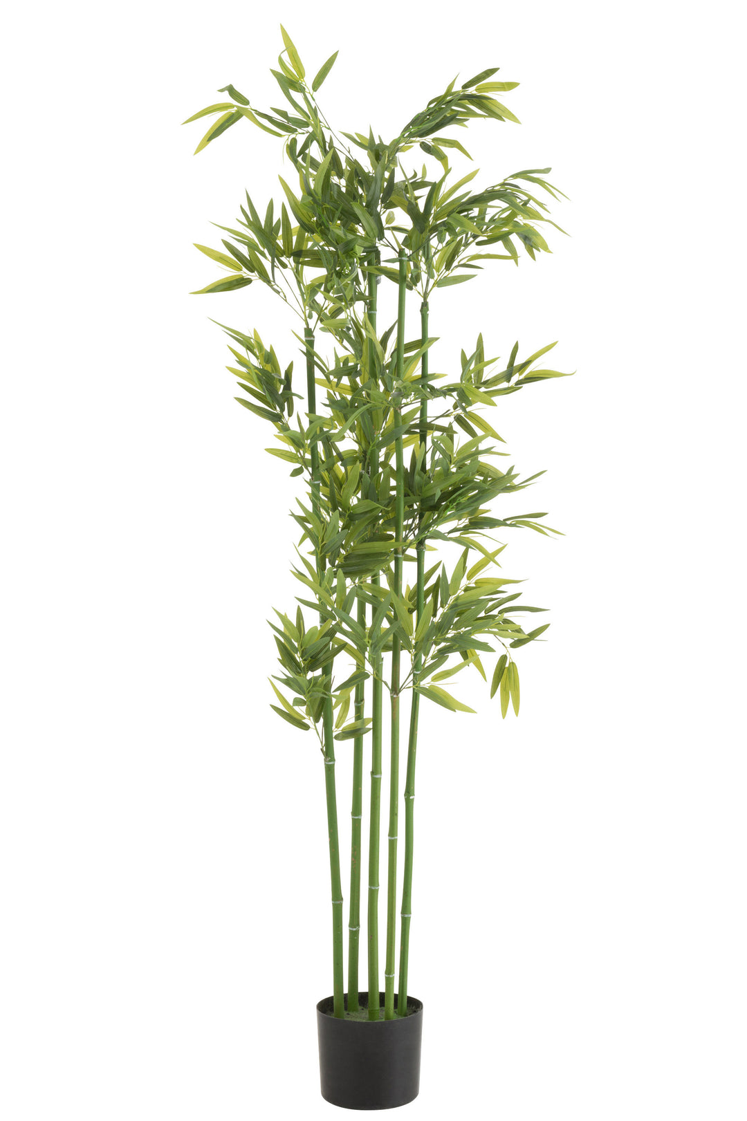 J-Line by Jolipa - Kunstig Plante Bambus H155 cm