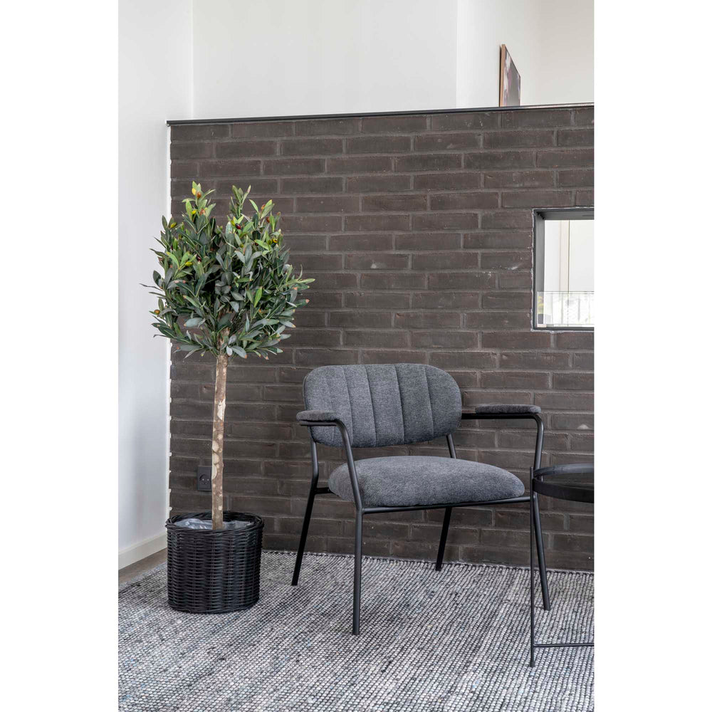 House Nordic Oliventræ
