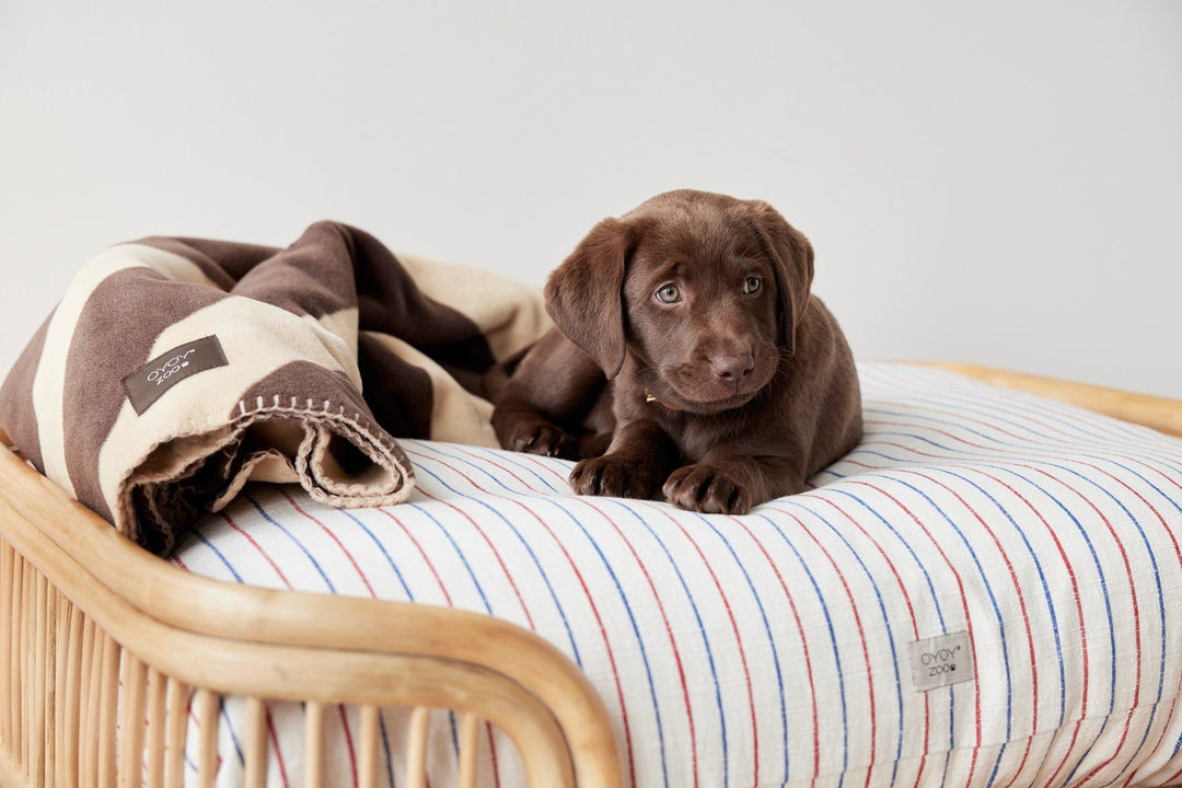 OYOY ZOO Otto Hundeseng - Lille