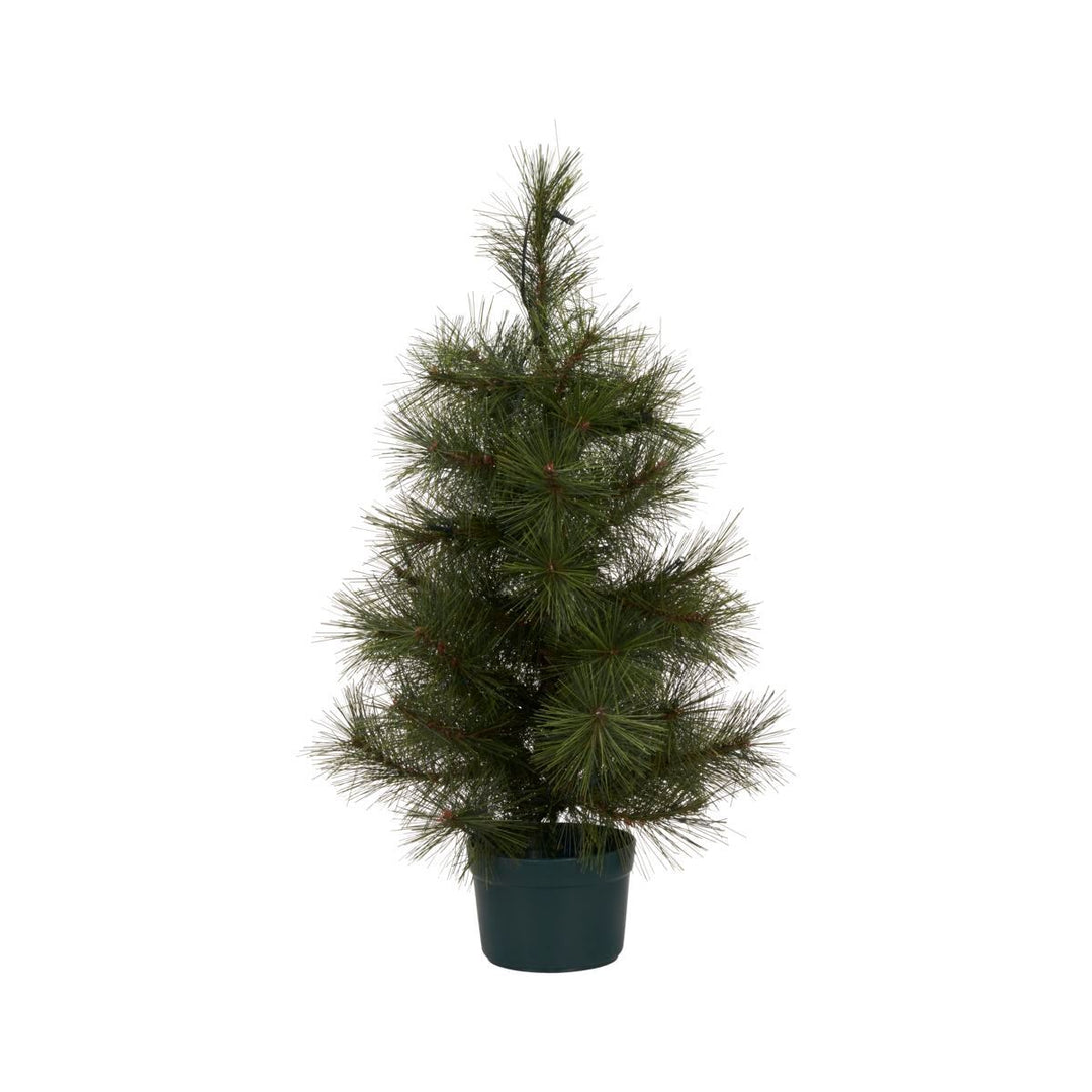 House Doctor Juletræ med LED Pinus, Natur